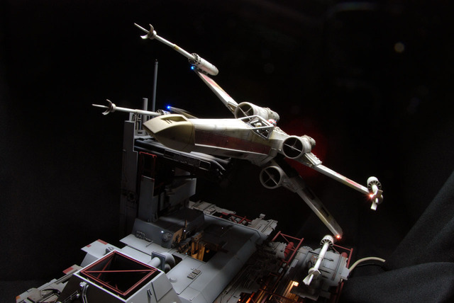 DY-DSC_6385.jpg