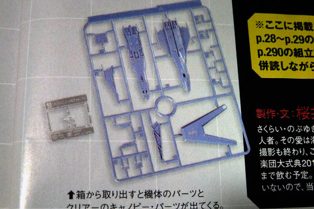 ランナー.jpg